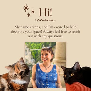 Pu&ograve; includere: Una grafica beige con il testo Hi! My name's Anna, and I'm excited to help decorate your space! Always feel free to reach out with any questions. Sotto il testo c'&egrave; la foto di una persona con un top blu a fiori, affiancata da un gatto.