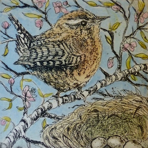 Little Wren ... etching and aquatint