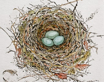 Robin’s Nest , Hand coloured etching