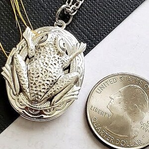 Silver Oval Locket Frog Necklace Animal Pendant Wetland Leaf Picture Hold Jewelry Charming Emerald Cute Toad Locket Large Oval image 5