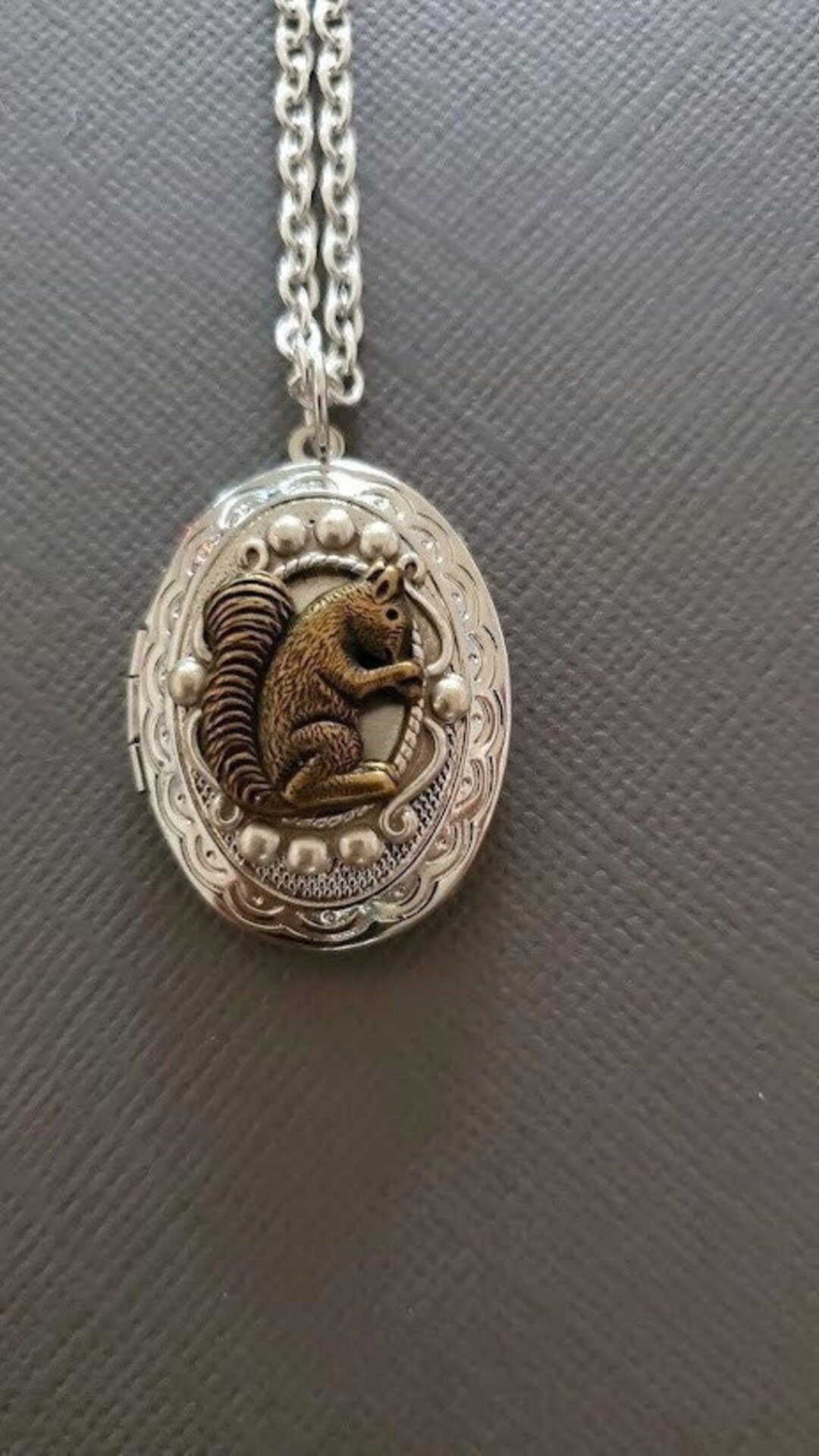 Cute Animal Locket Pendant Necklace ~ Oval ~ Squirrel ~ Special Picture ...