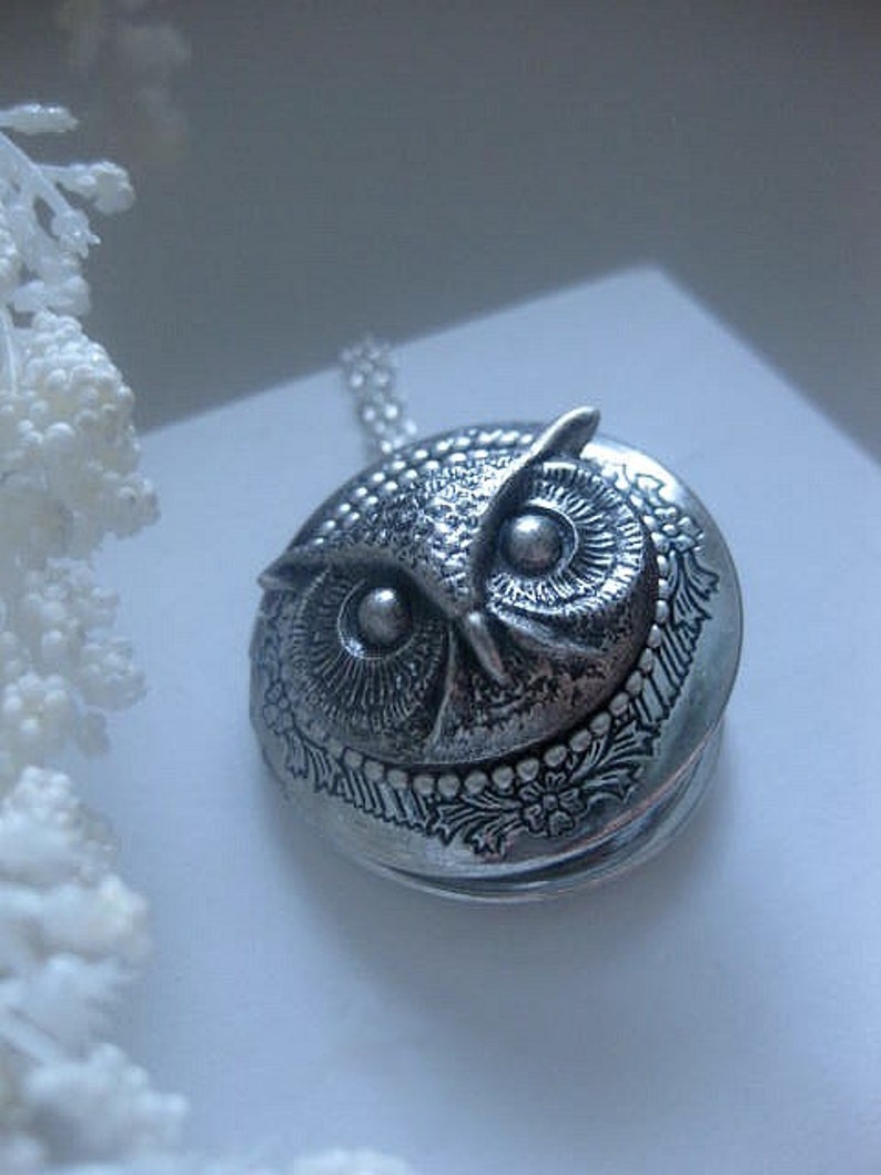 Owl Locket Jewelry Owl Necklace Silver Locket Photo Etsy
