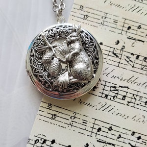 May include: A silver-colored round locket pendant with a detailed relief of a rabbit holding a broom and pinecones. The locket hangs on a silver chain. The background includes sheet music.