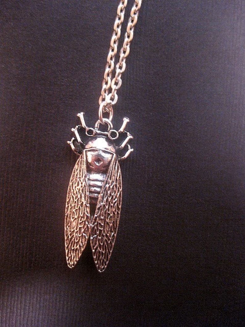 Insect Jewelry Bug Necklace Cicada - Etsy