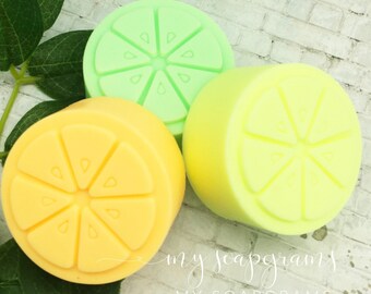 Citrus Soap Slices Fruit Soap Slices Citrus Soap Set