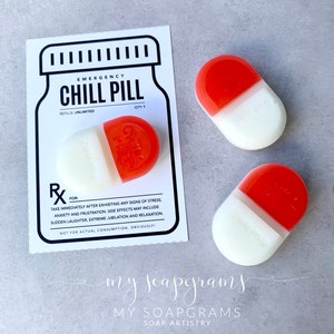 Chill Pill Soap Teacher gift  Co-worker chill pill gift  Party Favors Rx Pill Nurse Gift Take a Chill Pill Chill pill Graduation