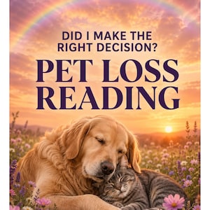 May include: A golden retriever dog and a tabby cat resting together in a field of purple and white flowers under a sunset sky with a rainbow. The text reads: DID I MAKE THE RIGHT DECISION? PET LOSS READING in dark purple capital letters.