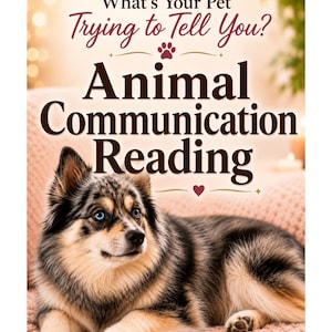 May include: A rectangular sign featuring the text What's Your Pet Trying to Tell You? Animal Communication Reading. Below the text is a medium-sized dog with blue eyes, black, grey, and tan fur, lying down on a textured, light pink surface.