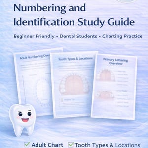 May include: A study guide titled "Dental Tooth Numbering and Identification" with three pages showing dental charts and diagrams. The guide is designed for dental students and includes a cute cartoon tooth graphic. The guide is available as an instant download.