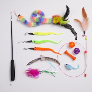 May include: A collection of cat toys, including colorful plush worms, a rainbow snake, feather wands, balls, and a small blue mouse. The toys are arranged on a white surface, offering a variety of textures and shapes for feline entertainment.
