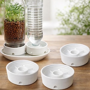May include: A clear glass jar with sprouting plants and a clear plastic water bottle, both set in white ceramic bases. Several additional white ceramic bases are also visible, suggesting a hydroponic gardening system. The setup is on a wooden surface.