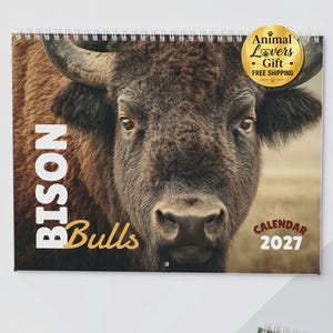 May include: A 2027 wall calendar featuring a large, detailed photograph of a brown bison bull. The text on the cover reads BISON Bulls CALENDAR 2027. A gold circular sticker in the top right corner displays the text Animal Lovers Gift.
