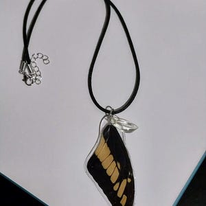 May include: A black cord necklace with a pendant featuring a butterfly wing encased in clear resin. The wing has black and yellow markings. The necklace has a silver-colored clasp.