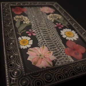 Puede incluir: Una pieza rectangular con marco plateado que presenta un dise&ntilde;o de piel de serpiente, adornada con flores prensadas en tonos de rojo, rosa y blanco. Las flores est&aacute;n dispuestas alrededor de la piel de serpiente sobre un fondo negro.