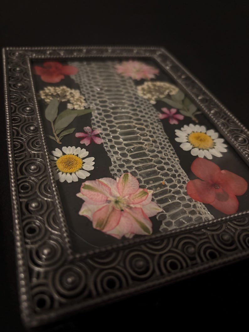 Puede incluir: Una pieza rectangular con marco plateado que presenta un dise&ntilde;o de piel de serpiente, adornada con flores prensadas en tonos de rojo, rosa y blanco. Las flores est&aacute;n dispuestas alrededor de la piel de serpiente sobre un fondo negro.