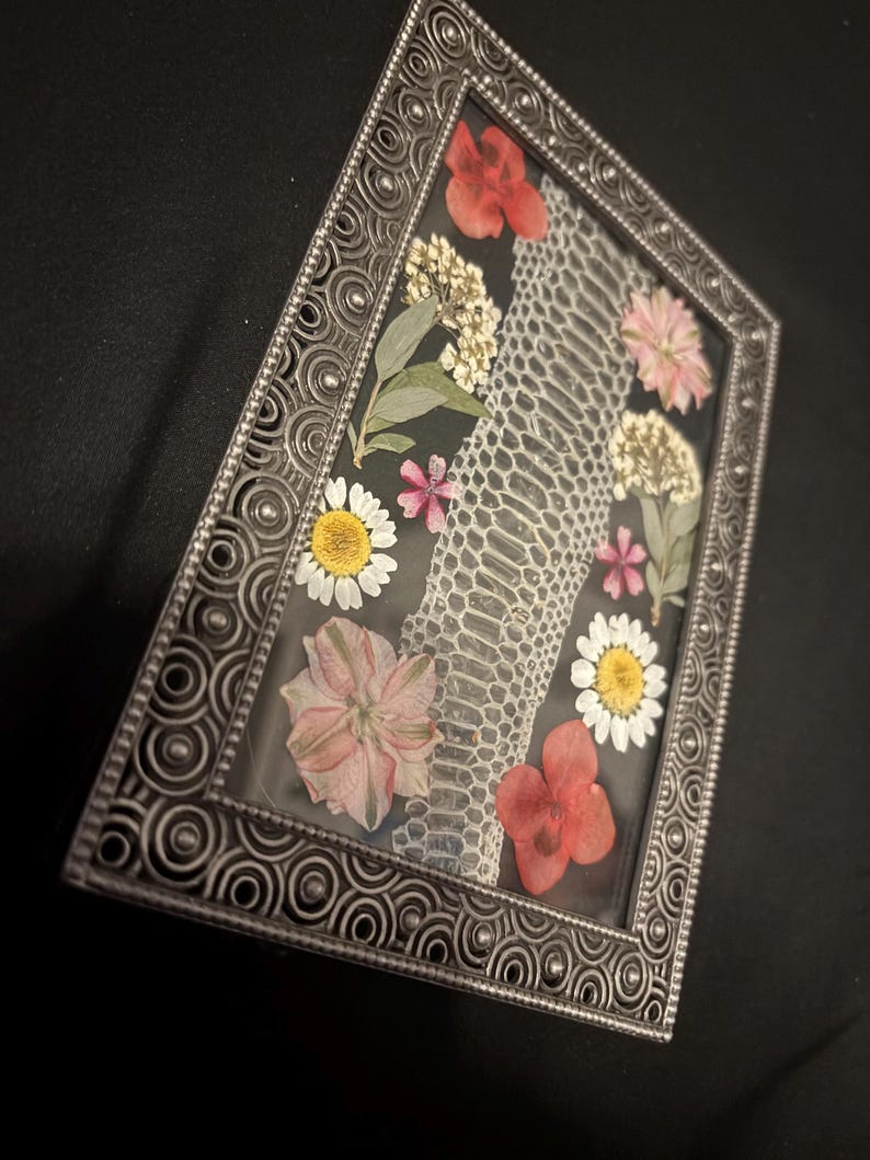 Puede incluir: Un marco rectangular plateado con un dise&ntilde;o de piel de serpiente y flores secas. Las flores son de color rosa, rojo, amarillo y blanco, sobre un fondo oscuro. El marco tiene un patr&oacute;n decorativo en espiral.