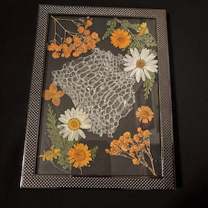 May include: A framed botanical art piece featuring pressed flowers and a textured, net-like object. The arrangement includes orange and yellow dried flowers, white daisies, and green foliage, all set against a dark background within a silver frame.