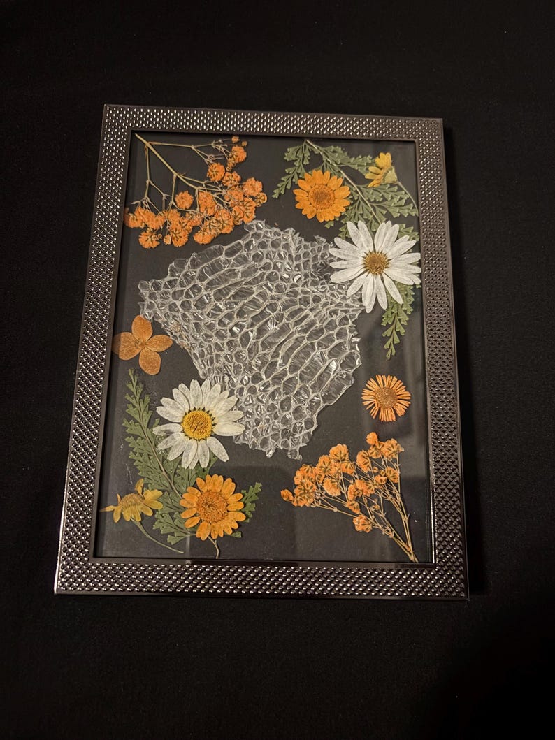 Pode incluir: Uma obra de arte emoldurada com flores prensadas e um elemento texturizado em forma de rede. A composi&ccedil;&atilde;o inclui flores secas laranja e amarelas, margaridas brancas e folhas verdes, tudo sobre um fundo escuro dentro de uma moldura prateada.