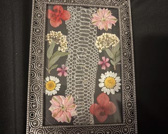 Ball Python Shed Frame