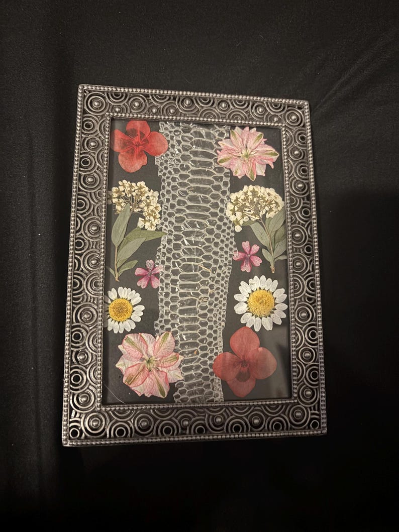 Puede incluir: Un marco de fotos rectangular plateado con un borde ornamentado. En el interior, un fondo oscuro muestra un patr&oacute;n de piel de serpiente y una disposici&oacute;n de flores secas en tonos rojos, rosas, blancos y amarillos.