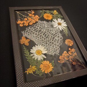 Ball Python Shed Frame imagem 2