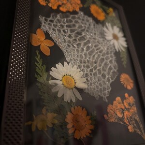 Ball Python Shed Frame imagem 3