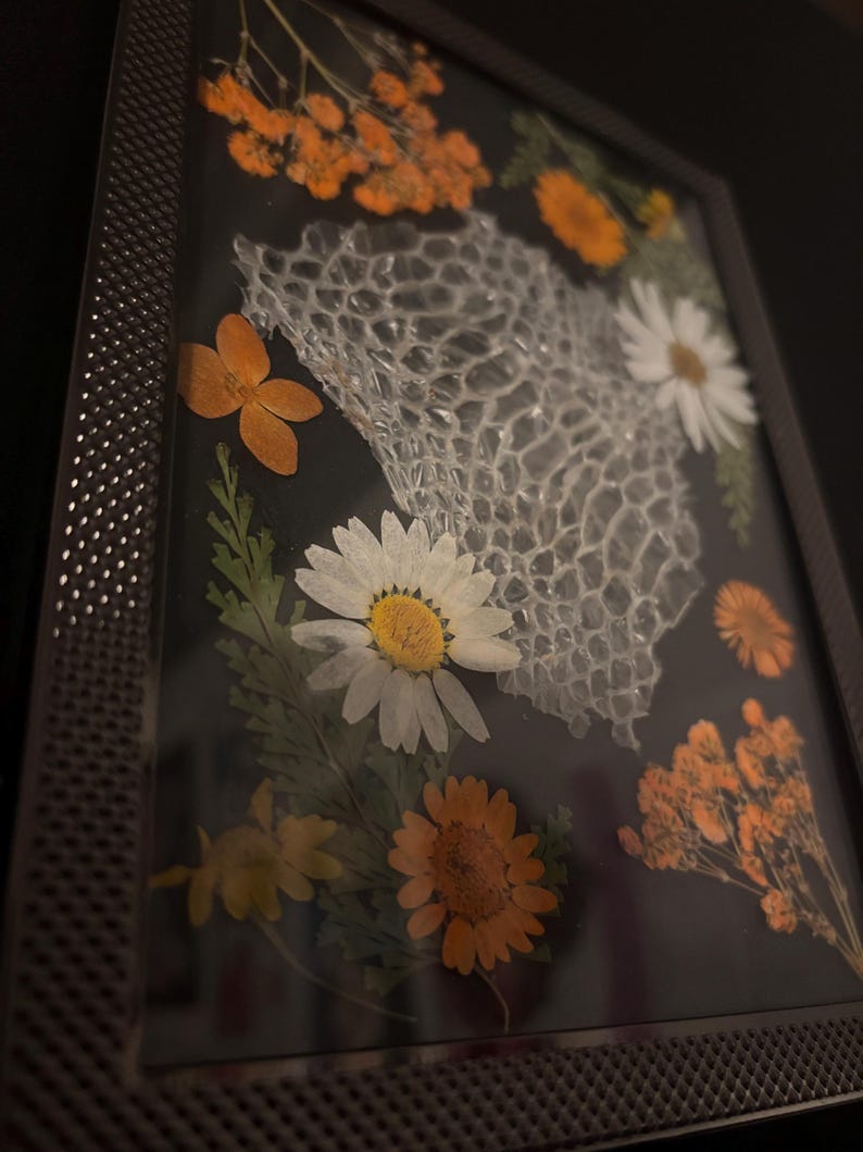 Ball Python Shed Frame imagem 3