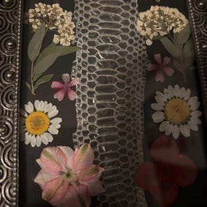 Puede incluir: Una obra de arte enmarcada con piel de serpiente y flores secas. El arreglo incluye margaritas blancas, flores rosas y rojas, y ramitas de flores blancas. El marco es de metal oscuro y ornamentado.