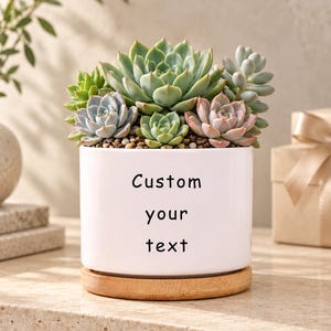 Op de afbeelding: Een witte cilindervormige keramische plantenpot met een bamboe schotel, gevuld met diverse groene en rozeachtige vetplanten. Op de voorzijde van de pot staat de zwarte tekst Custom your text gedrukt in een eenvoudig schreefloos lettertype.