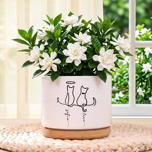May include: A white ceramic planter with a wooden base containing a gardenia plant with white flowers and green leaves. The planter features a black line art illustration of two cats, one with a halo, and the names Sofia and Luna written below.