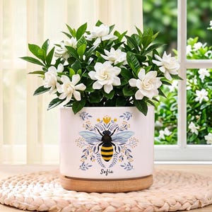 May include: A white ceramic plant pot featuring a bee design, filled with a flowering plant with white flowers and green foliage. The pot rests on a wooden base and a woven mat. The name "Sofia" is written on the pot.