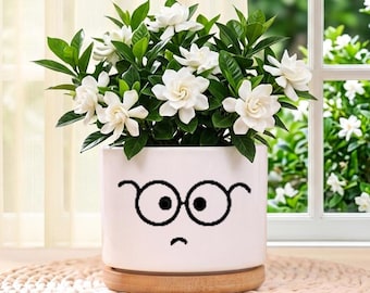 Personalisierter niedlicher Ausdrucksblumentopf, benutzerdefinierter Emoji Blumentopf, Mini-Blumentopf, Housewarminggeschenk, Sukkulententopf, Muttertagsgeschenk, Geschenk von ihr