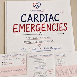 Könnte beinhalten: Eine weiße Lernkarte mit der Überschrift CARDIAC EMERGENCIES in blauer und roter Schrift und einem Herz-Logo. Darunter befinden sich drei kleinere Karten zu Kammerflimmern, einem Herzstillstand-Algorithmus und pulslosem VT mit EKG-Streifen.