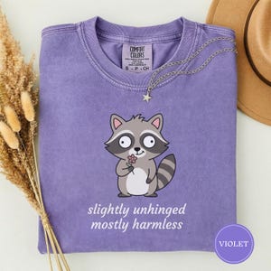 Könnte beinhalten: Ein violettes Comfort Colors T-Shirt mit einem Cartoon-Waschbären, der eine Blume hält. Auf dem Shirt steht der Text "slightly unhinged mostly harmless" unter dem Waschbären. Eine silberne Halskette mit Sternanhänger liegt auf dem Shirt.