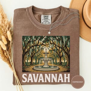 May include: Brown t-shirt with a graphic of a fountain in a park, with the word "SAVANNAH" in white block letters. A silver necklace with a star pendant is draped on the shirt. The shirt has a "Comfort Colors" tag.