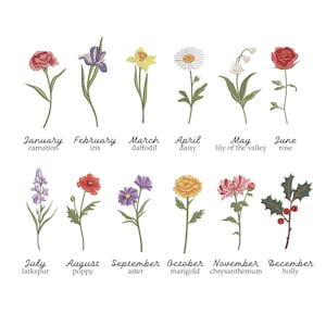 Puede incluir: Una ilustración de doce flores diferentes, cada una representando un mes del año. Las flores incluyen un clavel, un iris, un narciso, una margarita, un lirio de los valles, una rosa, un espuela de caballero, una amapola, una aster, una caléndula, un crisantemo y un acebo.
