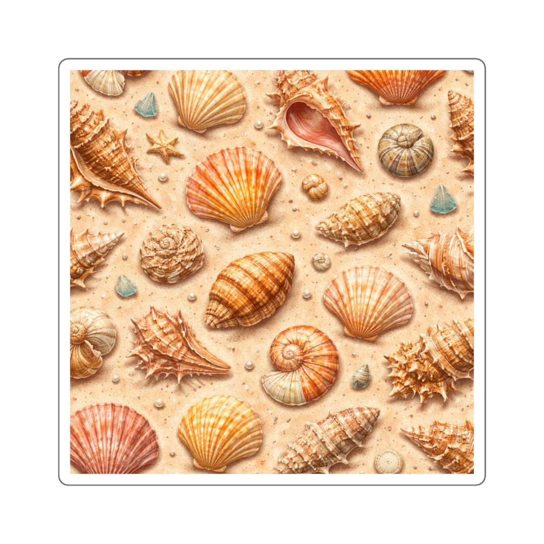 Shell Colour Square Square Sticker, Shells - Etsy