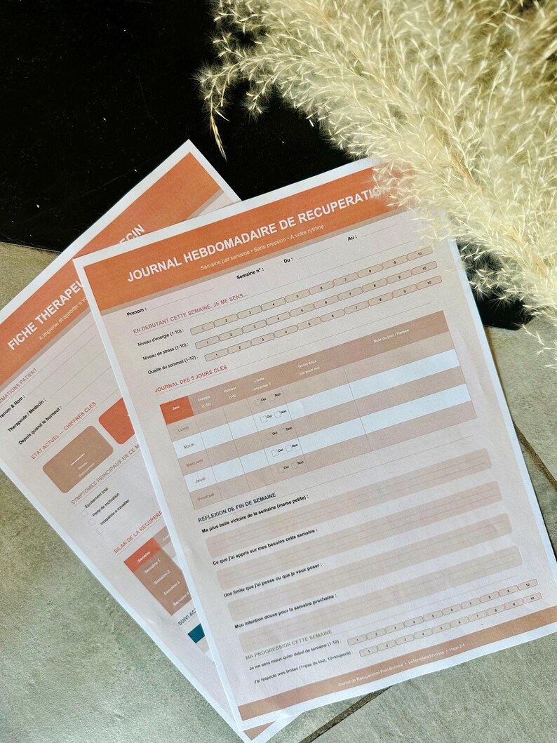 Post burnout journal imprimable pour visite chez médecin | Téléchargement Instantané PDF Format A4