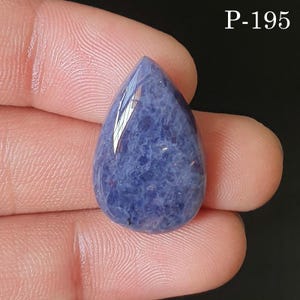 Puede incluir: Una gema pulida en forma de lágrima, en tonos azul profundo y púrpura. La piedra tiene una superficie lisa y reflectante con patrones internos sutiles. El texto "P-195" es visible en la esquina superior derecha.