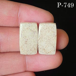 Puede incluir: Dos piedras preciosas rectangulares pulidas, con una paleta de colores crema y beige. Las piedras presentan un patrón natural detallado. El texto "P-749" es visible en la esquina superior derecha. Estas piedras probablemente se utilizan para la fabricación de joyas.