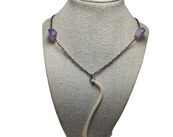 Raccoon baculum penis bone with amethyst necklace