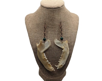 Raccoon mandible jaw bone with malachite on faux copper chain fishhook earrings