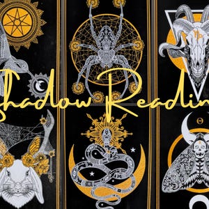 Lectura de sombras con la baraja de cartas del oráculo de animales místicos salvajes