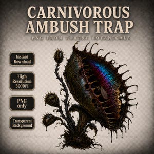 May include: A digital illustration of a dark, spiky carnivorous plant with a vibrant, iridescent blue and purple interior. The text reads: CARNIVOROUS AMBUSH TRAP, PNG FROM FOREST BOTANICALS, Instant Download, High Resolution 300DPI, PNG only, Transparent Background.