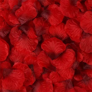 May include: A close-up of many red rose petals. The petals are a bright red with darker shading at the edges, creating depth and texture. The petals are scattered, filling the frame, and suggesting a romantic or decorative theme.