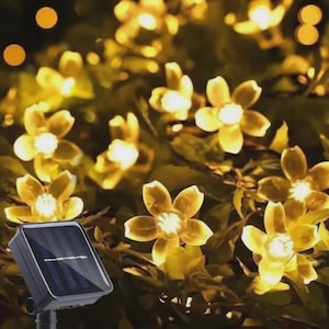 May include: A string of warm white LED lights shaped like five-petaled flowers, accompanied by a black rectangular solar panel. The glowing floral lights are arranged in a cluster, creating a bright, illuminated display with a soft golden hue.