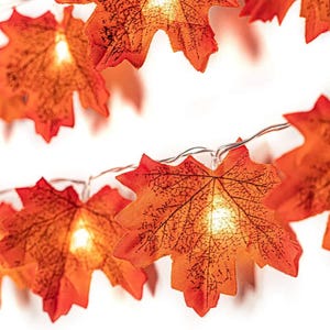 May include: A string of decorative lights featuring artificial maple leaves in shades of orange, red, and yellow. Each leaf has a detailed vein pattern and is illuminated from behind by a small, warm white LED light connected by a thin wire.