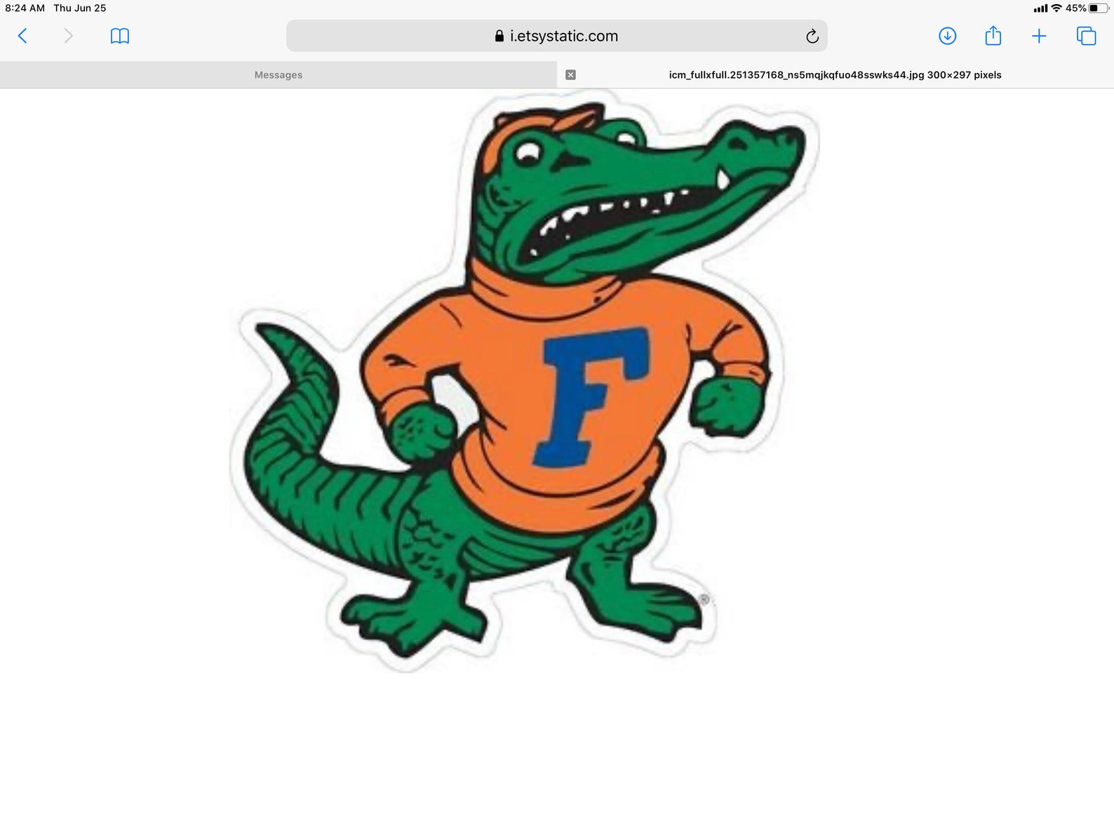 Florida Gators baby blanket Eagles Orioles all Etsy