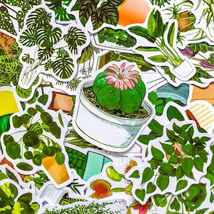 May include: A selection of plant-themed stickers showcasing diverse potted plants and foliage. The stickers include a cactus with a pink flower, monstera leaves, and other green plants. The stickers have white borders and are ideal for decorating notebooks, laptops, or other items.