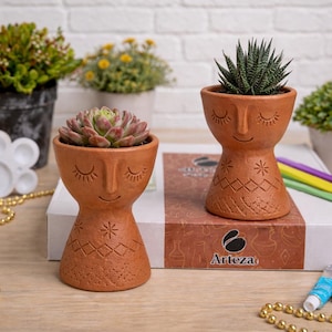 May include: Two terracotta-colored face planters, each holding a succulent plant. The planters have closed-eye designs and decorative patterns. Other potted plants, paint tubes, and a box with the Arteza logo are also visible.